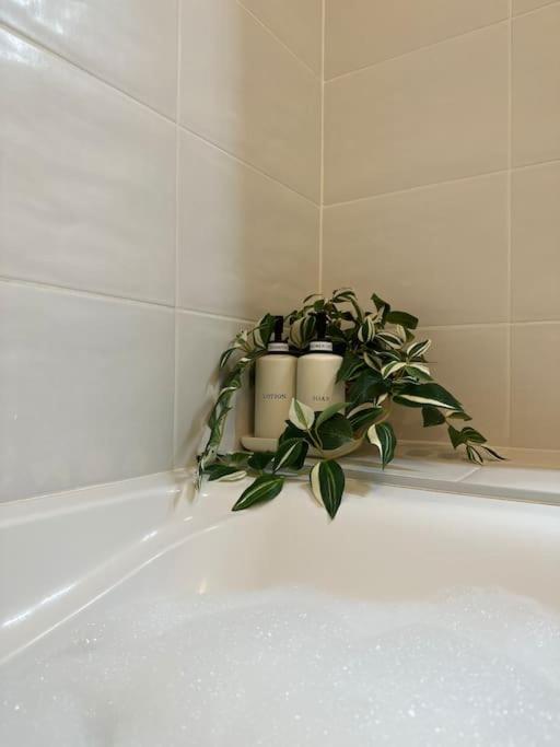 Jungle Suite - Moderne & Spacieux Annecy Exteriér fotografie